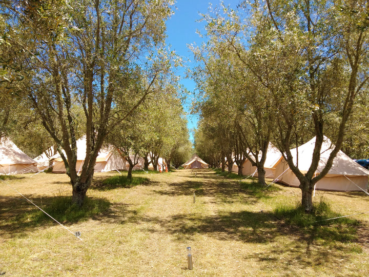 UNDERGROUND FESTIVAL: PREPITCHED CAMPING