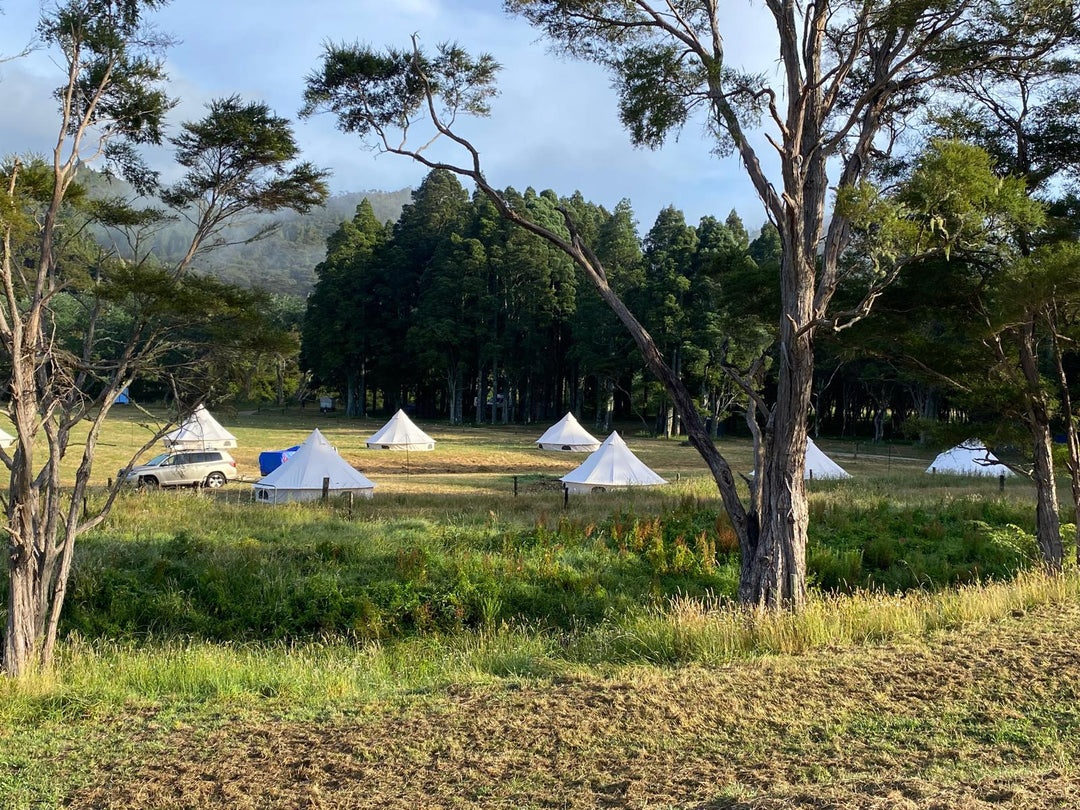 Soul Searcher Festival