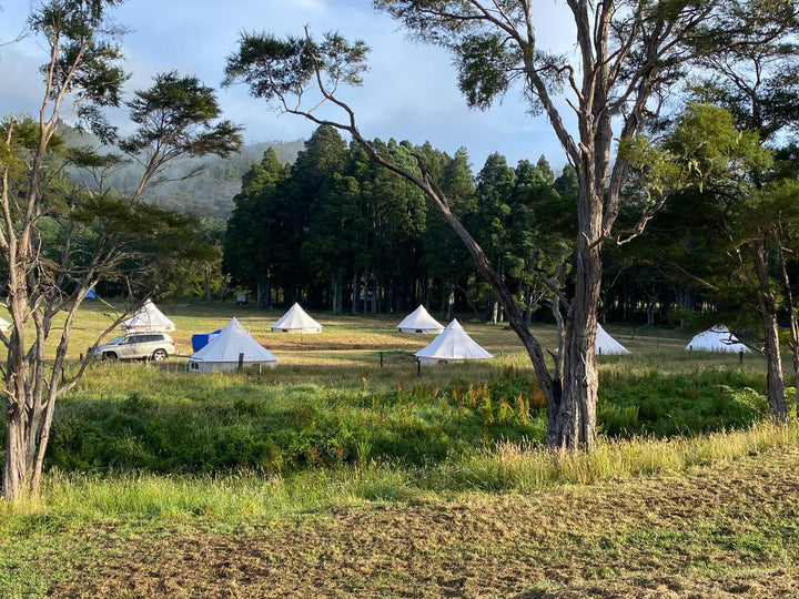 Soul Searcher Festival